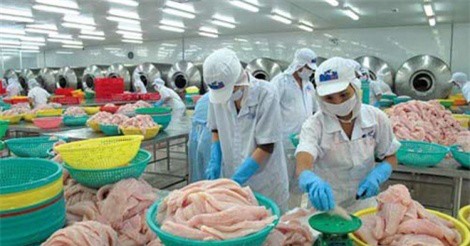 CTCP Hùng Vương lỗ đậm trong năm 2017 do nuôi heo