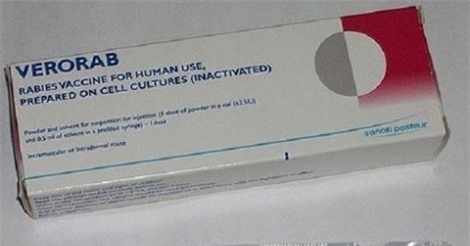 Bộ Y tế: Nơi nào thiếu vaccine phòng dại sẽ được cung ứng ngay