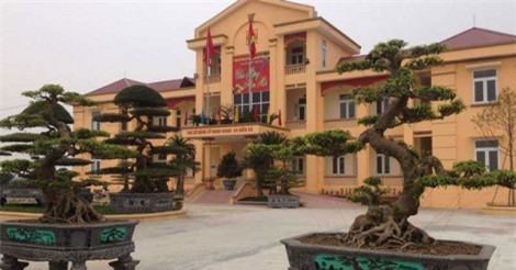 Hai "cụ" sanh cổ có gì đặc biệt mà được "ngã giá" bằng cả con đường?