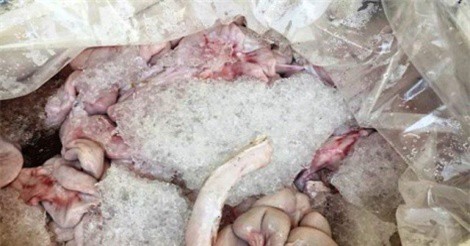 Chặn hơn 430 kg nội tạng thối chuẩn bị vào TP.HCM