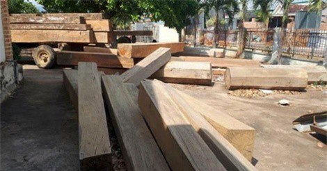 Đắk Lắk: Chủ tịch xã báo đi bắt gỗ lậu, kiểm lâm viện lý do vắng mặt