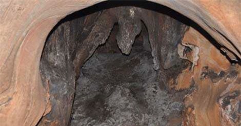 Giải mã hang động vùi xác ngàn người ở Thái Nguyên