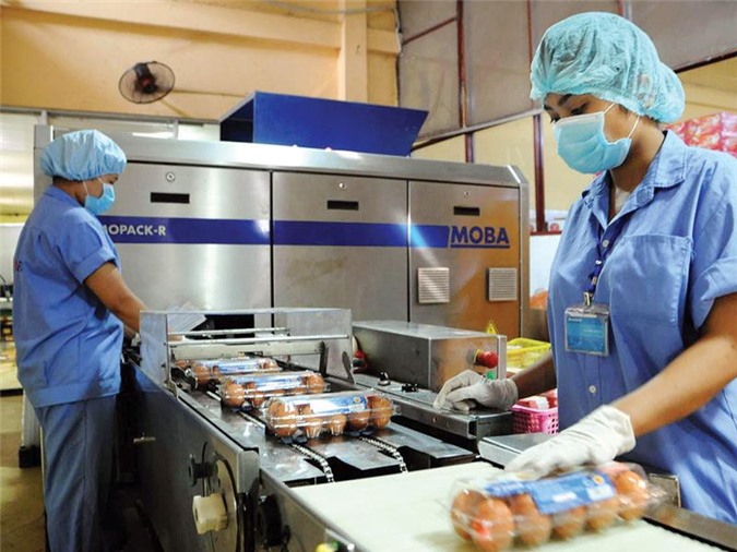 VinaCapital cùng hàng loạt tên tuổi “đáng gờm” cạnh tranh quanh quả trứng nhỏ