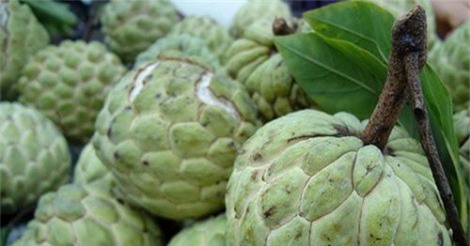 Bí quyết chọn trái cây tươi ngon, an toàn chị em nên biết