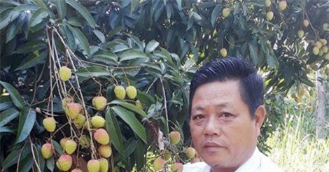 Trồng vải trên vùng đất cằn cỗi, nông dân thu lãi 300 triệu một vụ