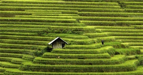 Việt Nam “đẹp lung linh” qua ống kính của nhiếp ảnh gia Pháp