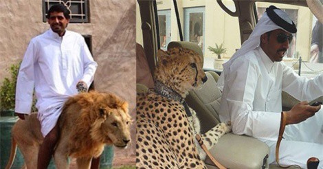Những thú tiêu khiển “điên rồ” của các đại gia Dubai