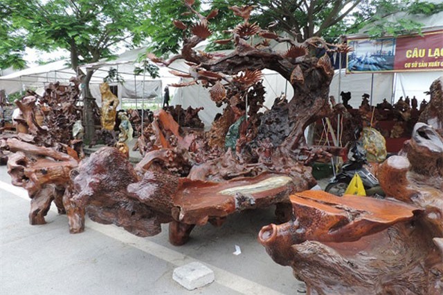 Mê mẩn với bộ bàn ghế gỗ táu mật, giá nửa tỷ đồng của đại gia Hải Phòng 