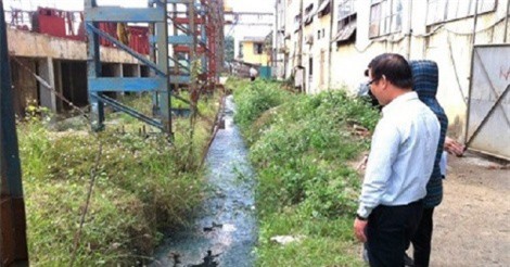 Nhà máy đường đóng cửa, người dân lao đao vì hàng nghìn tấn mía chưa biết “đi đâu về đâu”