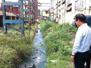 Nhà máy đường đóng cửa, người dân lao đao vì hàng nghìn tấn mía chưa biết “đi đâu về đâu”