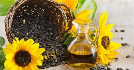 Thực hư chuyện dầu hướng dương, dầu cá làm tăng nguy cơ ung thư