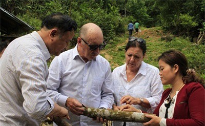 Đánh thức thương hiệu quế Trà My