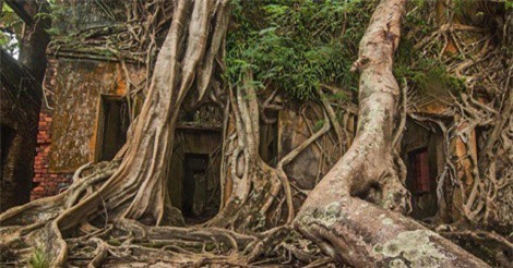 "Ghé thăm" hòn đảo "ma" giữa lòng Ấn Độ Dương