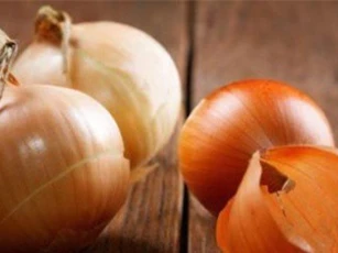 Lợi ích không ngờ từ vỏ hành tây