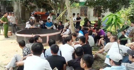 Nghệ An: Công an "đột kích" sới gà khủng, 52 đối tượng bị bắt tại trận