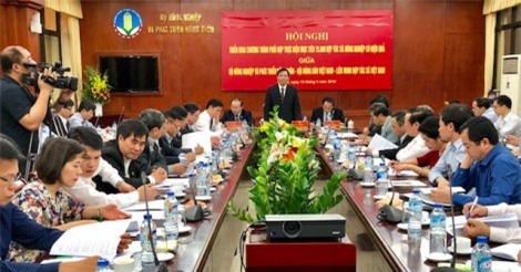 Xây dựng 15.000 hợp tác xã nông nghiệp hiệu quả