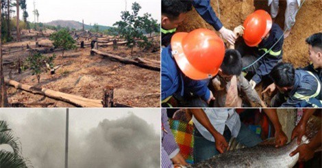 TIN HOT NGÀY 14/4: Cán bộ đổ lỗi cho dân “làm mất” 240,5 ha rừng, TP.HCM xây dựng đô thị dưới lòng đất