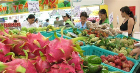 Bình quân mỗi ngày Trung Quốc chi 8 triệu USD nhập rau quả Việt Nam