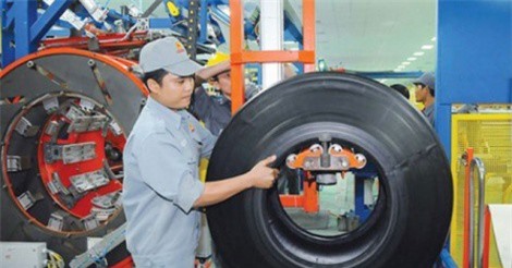 Casumina hụt vốn vì chi quá nhiều tiền mặt chia cổ tức