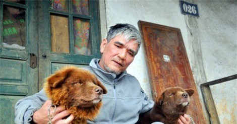 Những chuyện ly kỳ về 'sói lửa' trên cao nguyên Bắc Hà