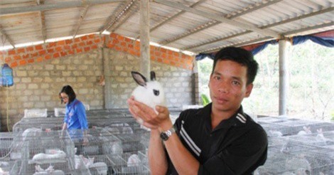 8X về quê nuôi 35 con thỏ, 5.000 con gà, lãi 10 triệu/tháng