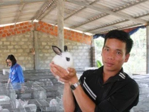 8X về quê nuôi 35 con thỏ, 5.000 con gà, lãi 10 triệu/tháng