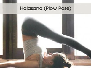 5 tư thế yoga giúp đánh tan bọng mắt