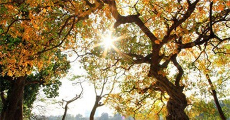 DỰ BÁO THỜI TIẾT (17/4): Bắc Bộ dứt mưa rét, Hà Nội hửng nắng