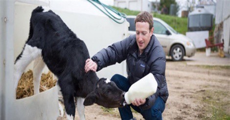 Soi chi phí được "dốc" ra để bảo vệ các CEO nổi tiếng thế giới