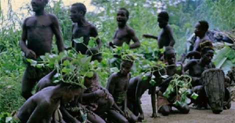 Bộ tộc người lùn với vòng đời ngắn nhất thế giới