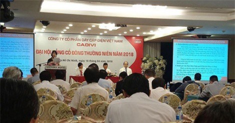 Cổ phiếu Công ty CP Dây Cáp Điện Việt Nam hủy niêm yết