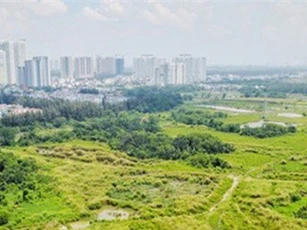 TP.HCM yêu cầu hủy bán hơn 300.000 m2 đất công giá rẻ