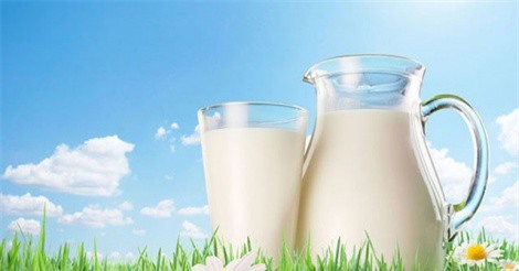 Đây là lý do bạn cảm thấy khó chịu khi uống sữa