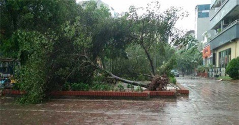 DỰ BÁO THỜI TIẾT (20/4): Bắc Bộ chuyển mưa dông, Hà Nội đề phòng gió giật mạnh