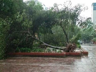 DỰ BÁO THỜI TIẾT (20/4): Bắc Bộ chuyển mưa dông, Hà Nội đề phòng gió giật mạnh