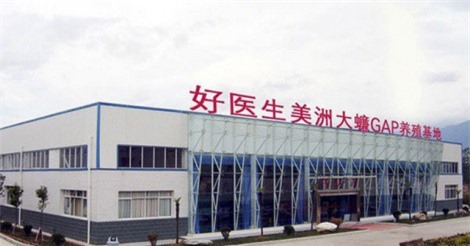 Trang trại Trung Quốc dùng trí tuệ nhân tạo nuôi 6 tỷ con gián mỗi năm