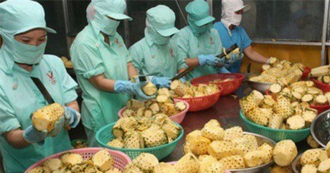 Xuất khẩu nông sản 2018 khả năng cán mốc 40 tỉ USD