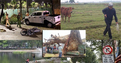 TIN HOT NGÀY 21/4: 2 người tử vong vì dùng điện bắt cá, xử lý nghiêm vụ ôtô tông loạt xe máy ở TP.HCM