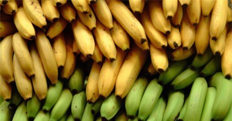 7 thực phẩm nên ăn khi bị tiêu chảy