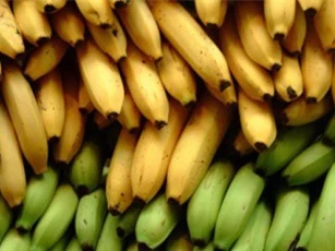 7 thực phẩm nên ăn khi bị tiêu chảy