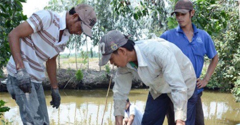 Thu lãi cao từ 'tôm xen tôm'