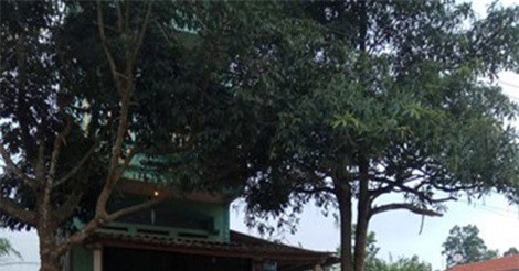 Bắc Giang: Bị chém lìa tay vì đuổi theo 4 tên trộm chó