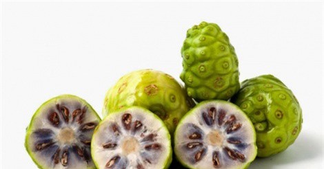 Bất ngờ với công dụng của trái nhàu