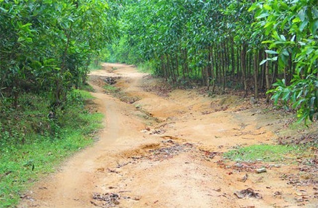 Làng “ma ám” tại Quảng Nam: Những ám ảnh rợn tóc gáy