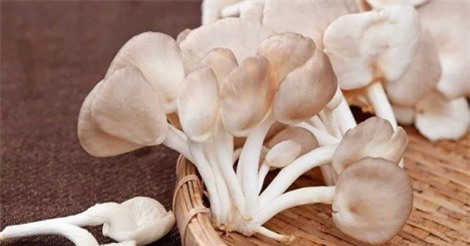 Mẹo bảo quản các loại nấm giúp tươi lâu và đảm bảo dinh dưỡng