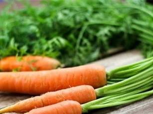 Những thực phẩm giúp kiểm soát nhờn trên da hiệu quả