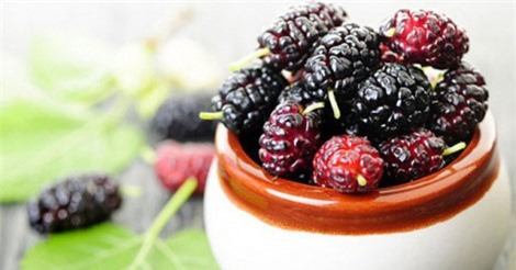 Khám phá công dụng tuyệt vời của quả dâu tằm