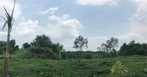 Nhà, đất công tại TP.HCM bị lãng phí hàng loạt