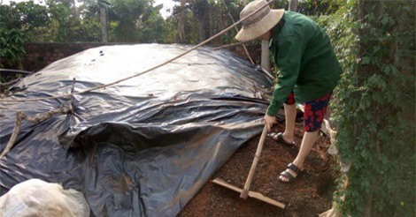 Dùng vỏ cà phê làm phân bón vi sinh thu lợi lớn