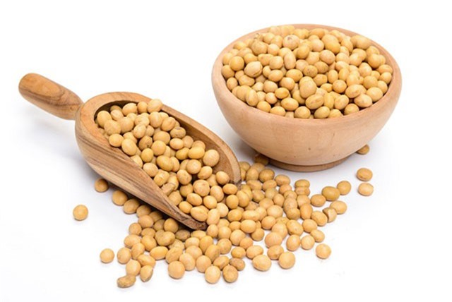 Những thực phẩm giúp xương khớp khỏe mạnh